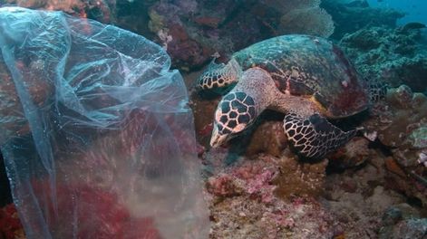 Los Andes | Desde los problema agrícolas hasta la contaminación del mar, el documental aborda las diferentes problemáticas planteando un futuro sin remedio.
