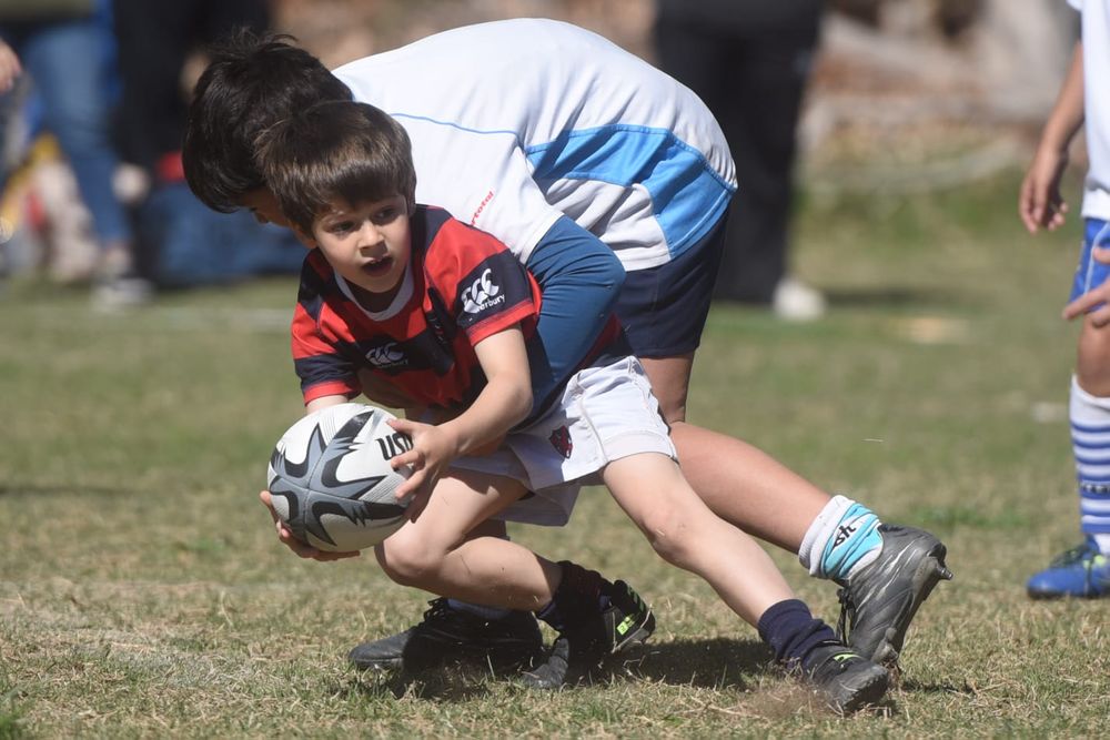 Una fiesta del rugby infantil se producirá en Los Tordos con 2.500 chicos y clubes de Argentina y Chile