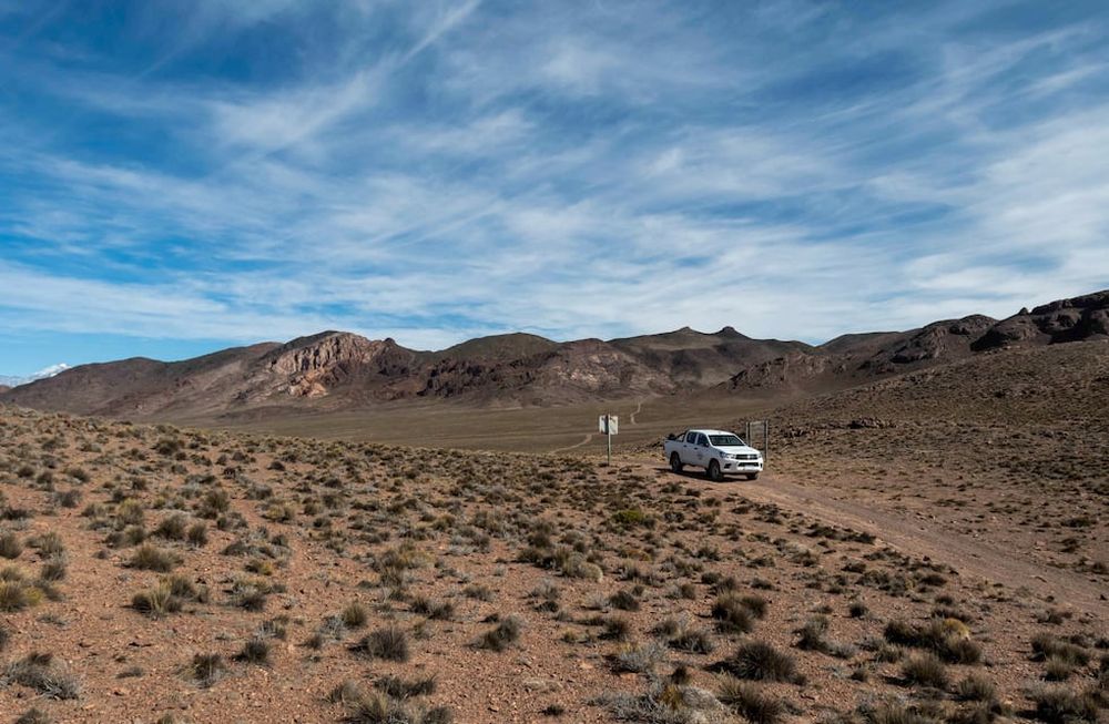 Mendoza 10 de junio de 2020 Sociedad, Reserva Natural Villavicencio, Pampa de Canota. El cuerpo de Guardaparques de la Reserva Natural Villavicencio realiza un atrabajo de conservacion y prevencion de la caceria ilegal. Gracias a este trabajo se comenzo a recuperar la poblacion de las destintas especies que habitan la montana mendocina.    Foto: Ignacio Blanco / Los AndesZorro