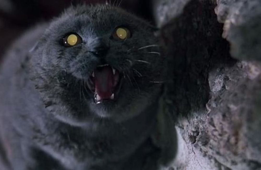 Halloween en streaming: tres planes para morirse de miedo entre cuatro paredes