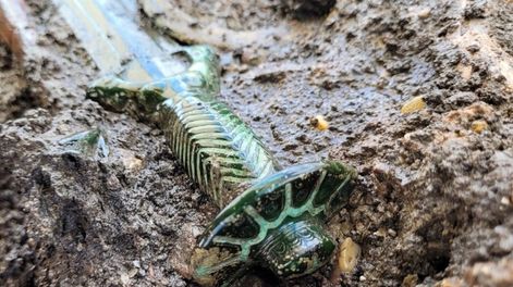 La espada es un tipo de artesanía típica durante la Edad del Bronce. / Foto: National Geographic