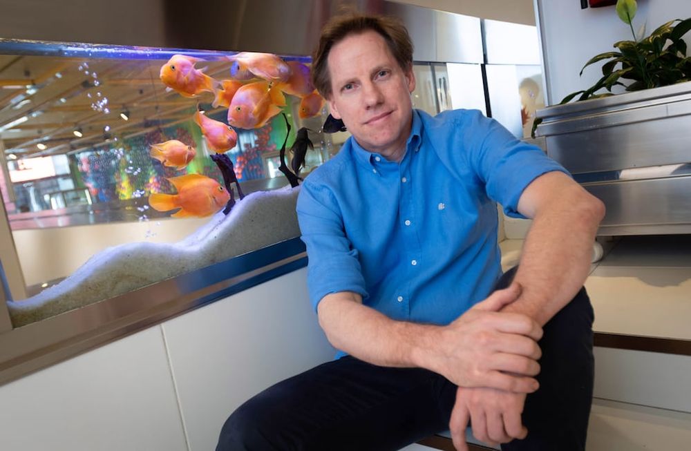 Flavio Soppelsa, cuarta generación de artesanos del helado. Desarrolló un laboratorio en donde fabrica sabores exitosos como palta o matcha limón. / Ignacio Blanco