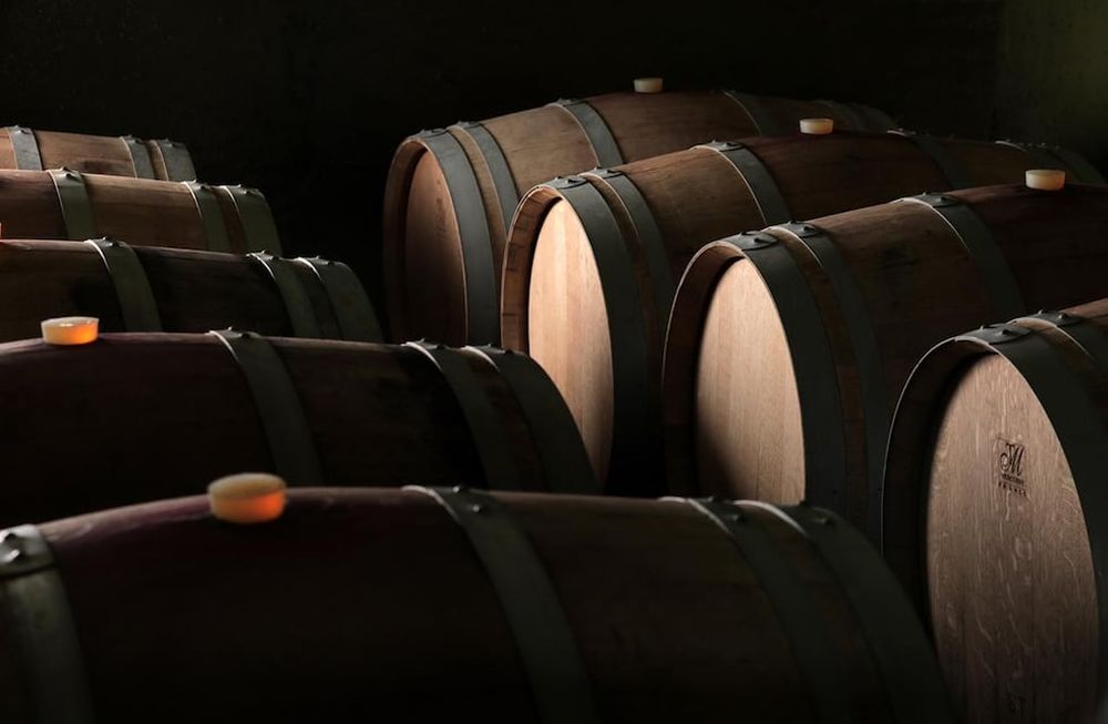 Conocé las novedades que nos presenta la cosecha 2021 de Terracota Wineland