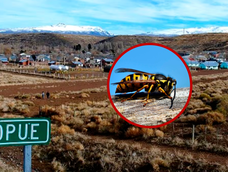 murio un hombre en neuquen tras ser atacado por un enjambre de avispas murio un hombre en neuquen tras ser atacado por un enjambre de avispas