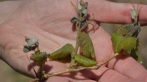 Los Andes | PJCYXNRYPJCCJDUC6GWY2GLYNA.jpg?quality=75&smart=true&auth=1b2399892faee2317688c277f5c7ec391662b6c006f02996365c35a6e8541686&width=980&height=640