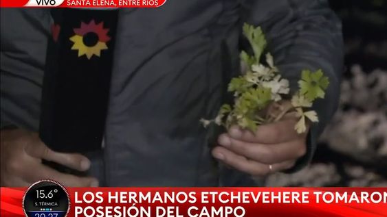 Efecto Artigas: hallaron perejil y plantines en el campo de los Etchevehere - TN