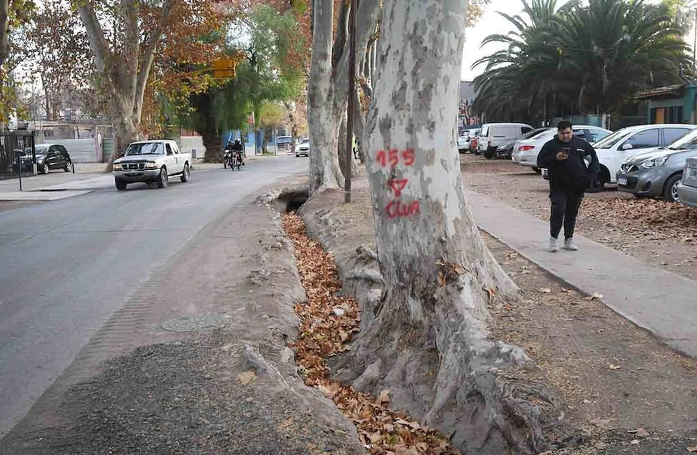 Carril Mathus Hoyos desde Costanera hasta casi Avellaneda, pasó a ser administrado por el municipio de Guaymallén y se podrán realizar obras de urbanización. | Foto: José Gutierrez / Los Andes