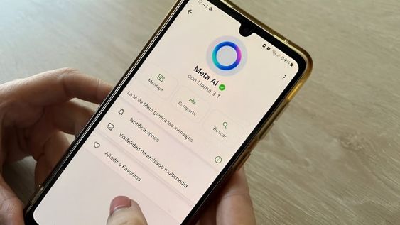 Denunciaron a Meta AI en Argentina por usar datos privados para entrenar su inteligencia artificial.
