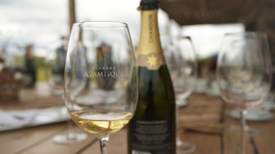 Los nuevos vinos espumosos de Argentina arrancan en los $550. - Gentileza