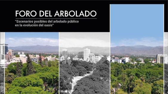 El 16 y 17 de setiembre el Colegio de Arquitectos de Mendoza debatirá el tema del arbolado público