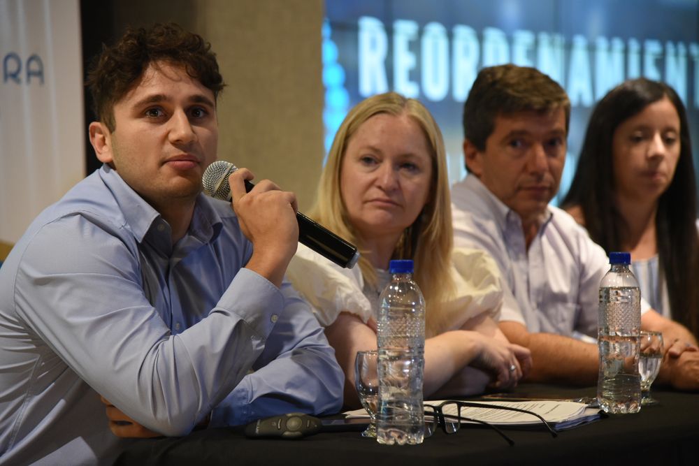 El secretario legislativo Lucas Faur&eacute; llev&oacute; adelante el an&aacute;lisis de las leyes a derogar.&nbsp;