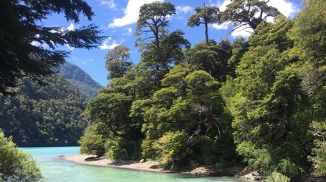Puerto Blest: el increíble cruce a Chile por lagos en medio del paraíso y que marcó al Che Guevara. Foto: Twitter @nacho_delarosa