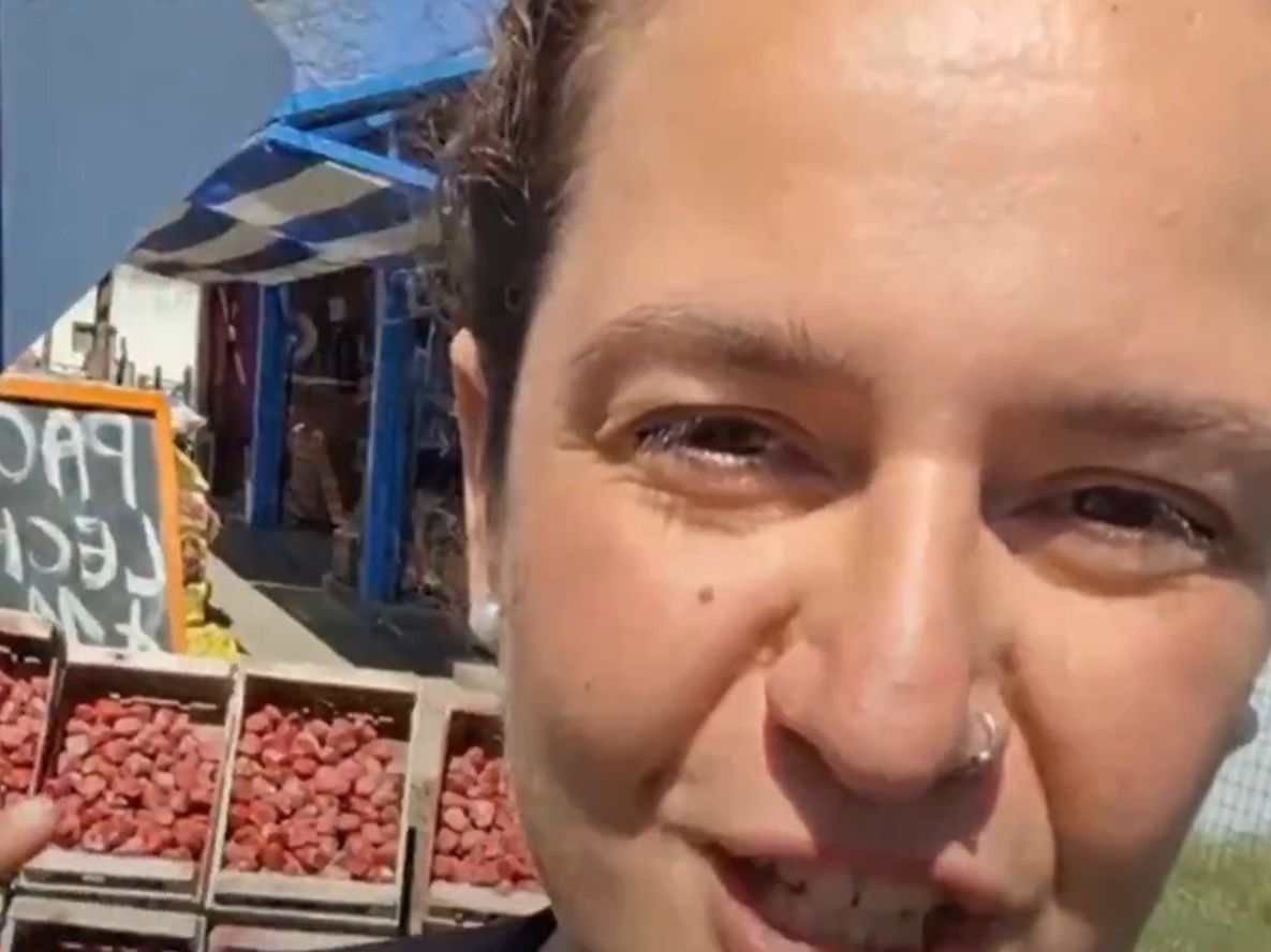 En un puesto de la ruta 11, una joven descubre frutillas de piedra cuidadosamente pintadas, y su reacción se convierte en un fenómeno viral en TikTok.