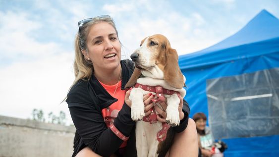 Salud animal: estos serán los lugares de atención del Móvil Veterinario en diciembre