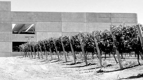 Los Andes | El verbo añejar está referido al vino o a las comestibles cuando toman el valor de “alterarse con el transcurso del tiempo, ya mejorándose, ya deteriorándose”.