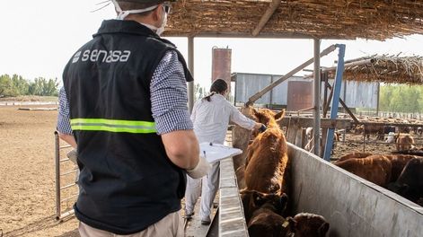 El Gobierno permitirá importar vacunas y medicamentos veterinarios de países con normas equivalentes