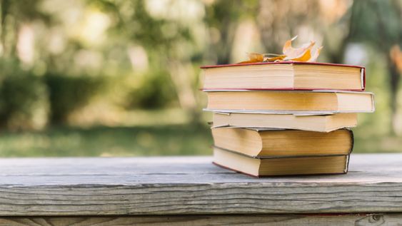 Libros abandonados en el banco de una plaza. Foto: Freepik.