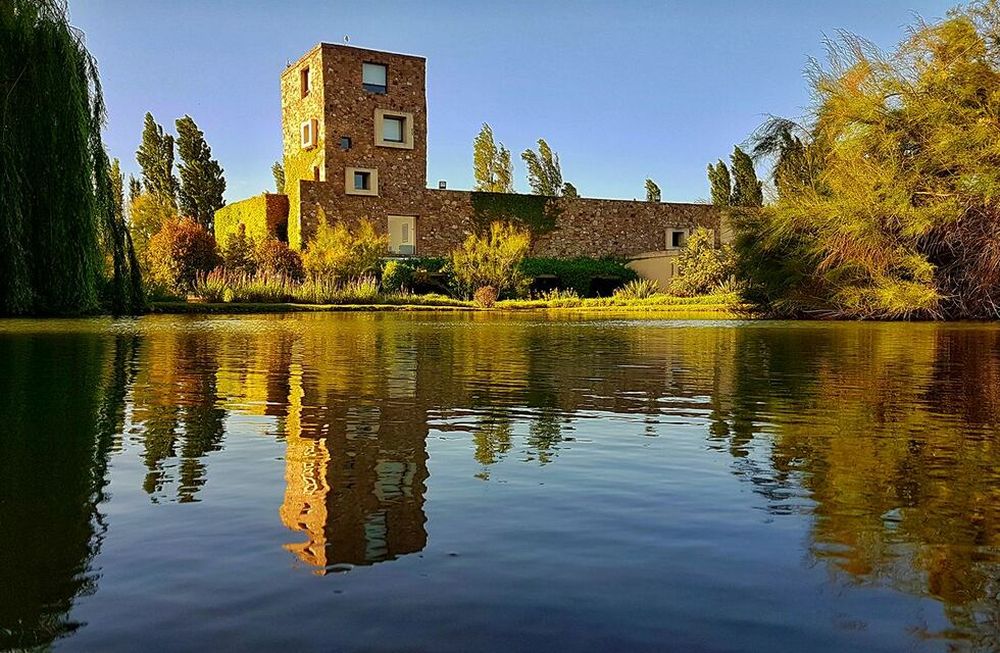 Con certificación orgánica, Bodega Renacer lanzará nuevas versiones de sus vinos en agosto