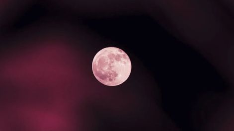 Luna de Fresa&nbsp;