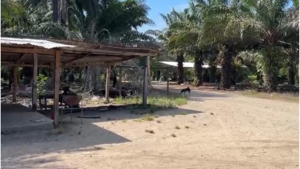 Finca Rigores donde asesinaron a más de 10 personas en Honduras