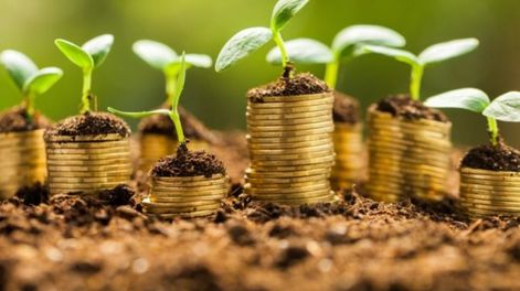 Cómo los bonos verdes pueden financiar proyectos de pymes mendocinas