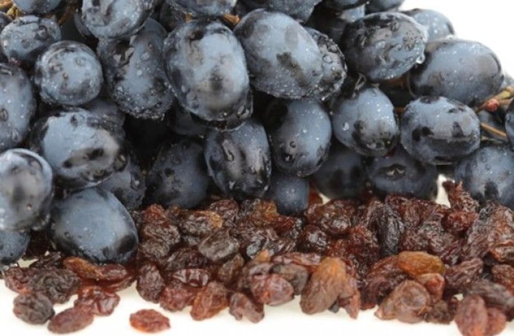 Pasa de uva y uva en fresco podrían ser oportunidades para los productores