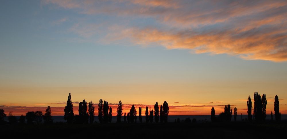 Los álamos en San Carlos son una postal reconocida, también los colores del cielo cuando anochece en Paraje Altamira