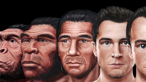 Imagen ilustrativa.