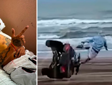 L-Gante se accidentó en Pinamar y terminó internado. Captura: web