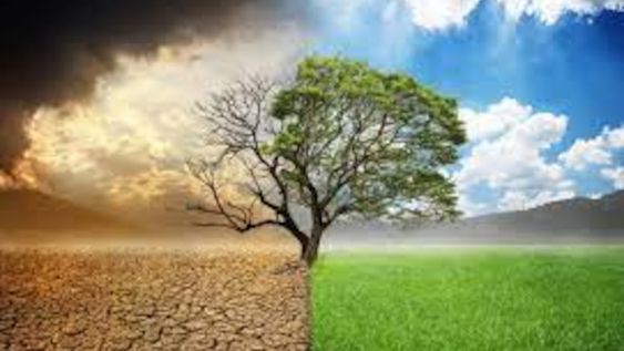 Restaurar la naturaleza pero dañarla con la guerra