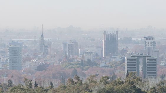 El viento Zonda dejó 112 incidentes en Mendoza: hubo incendios, árboles y postes caídos y una persona herida.
