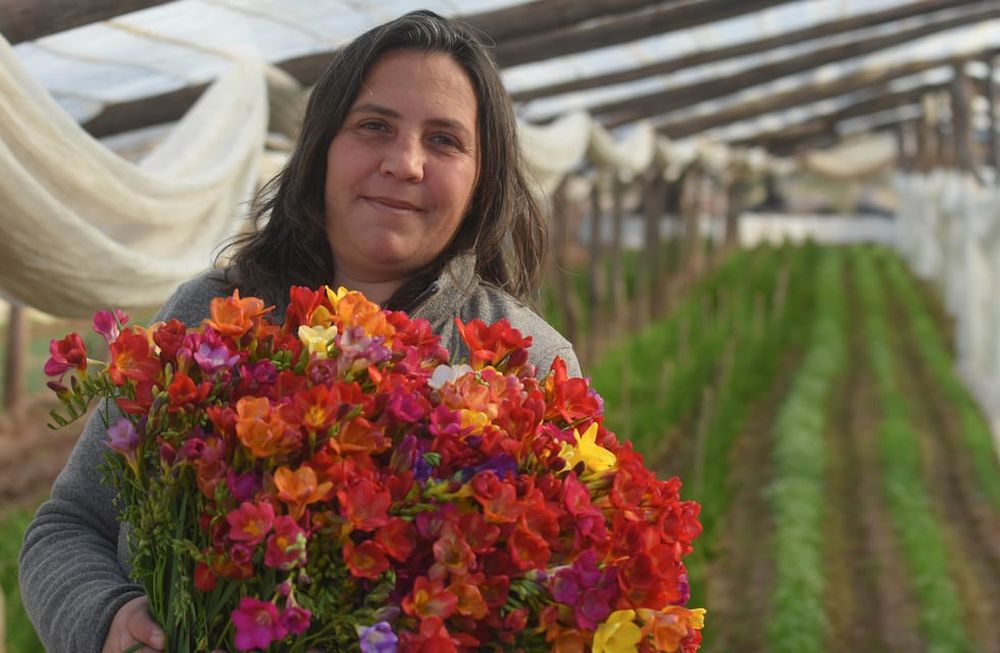 Mendoza 25 de agosto de 2020  FincasFlores, vivero, plantas  Laura Dagostino Ingeniera Agrónoma, especialista en cultivo de flores de corte, asesora a 23 propietarios de viveros de floresFoto: José Gutierrez / Los Andes