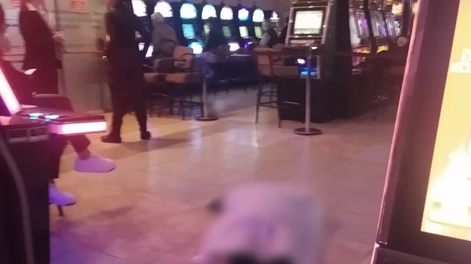 Mar del Plata: una mujer murió en un bingo y los apostadores siguieron jugando al lado del cadáver.