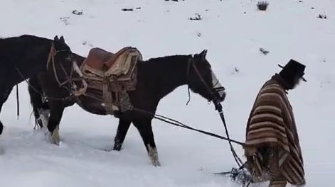 Efectivos de Gendarmería Nacional asistieron a un baqueano que se había extraviado en la zona de Cordillera - Foto Gendarmería Nacional