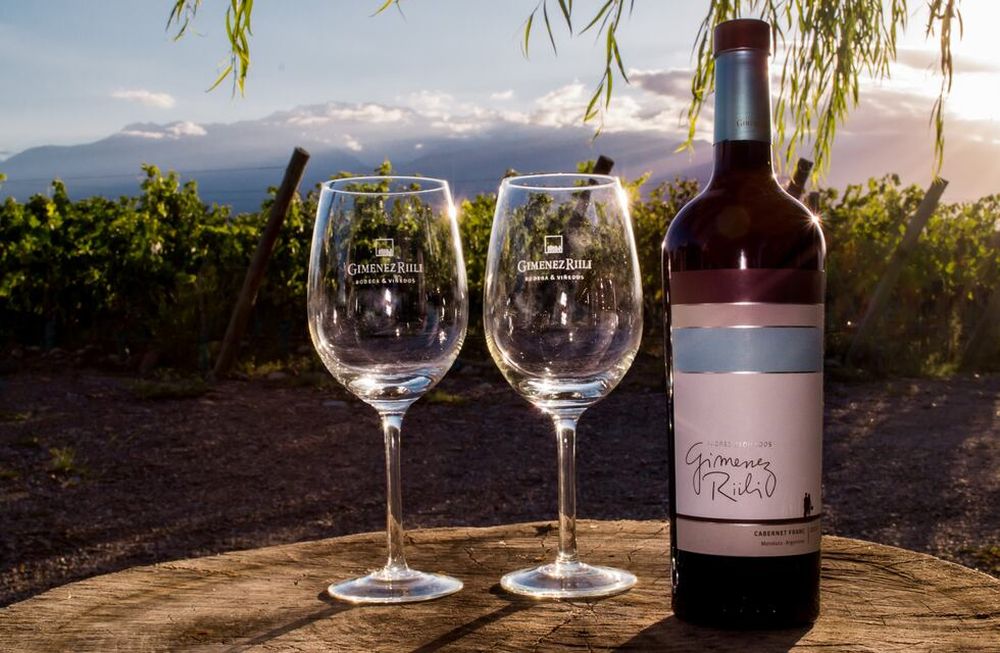 “La uva Malbec es sinónimo de calidad y trabajo”