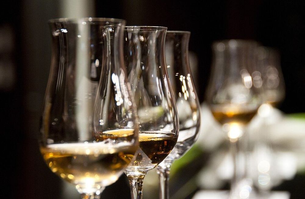 In.Pulso de Vino, el nuevo concepto de mega degustación en Mendoza