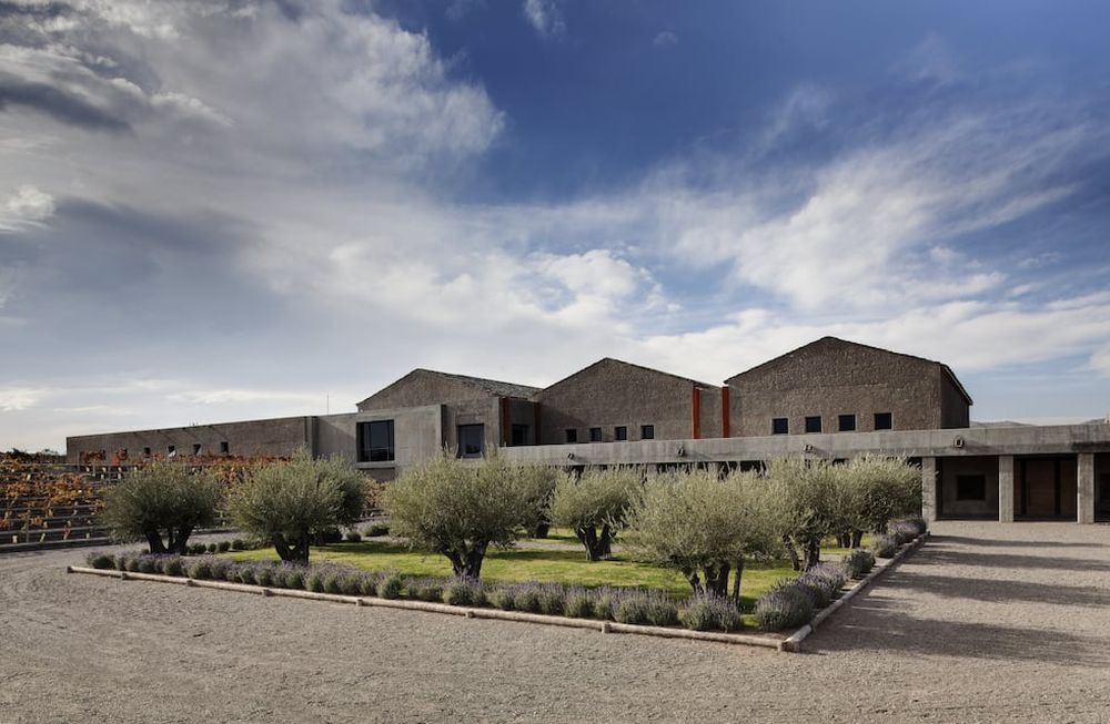 Bodega Atamisque