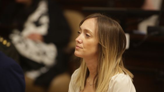La senadora del peronismo Anabel Fernández Sagasti presentó un proyecto contra las deepfakes.