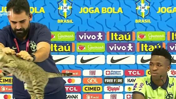 La maldición del gato que sufre Brasil desde Qatar 2022.