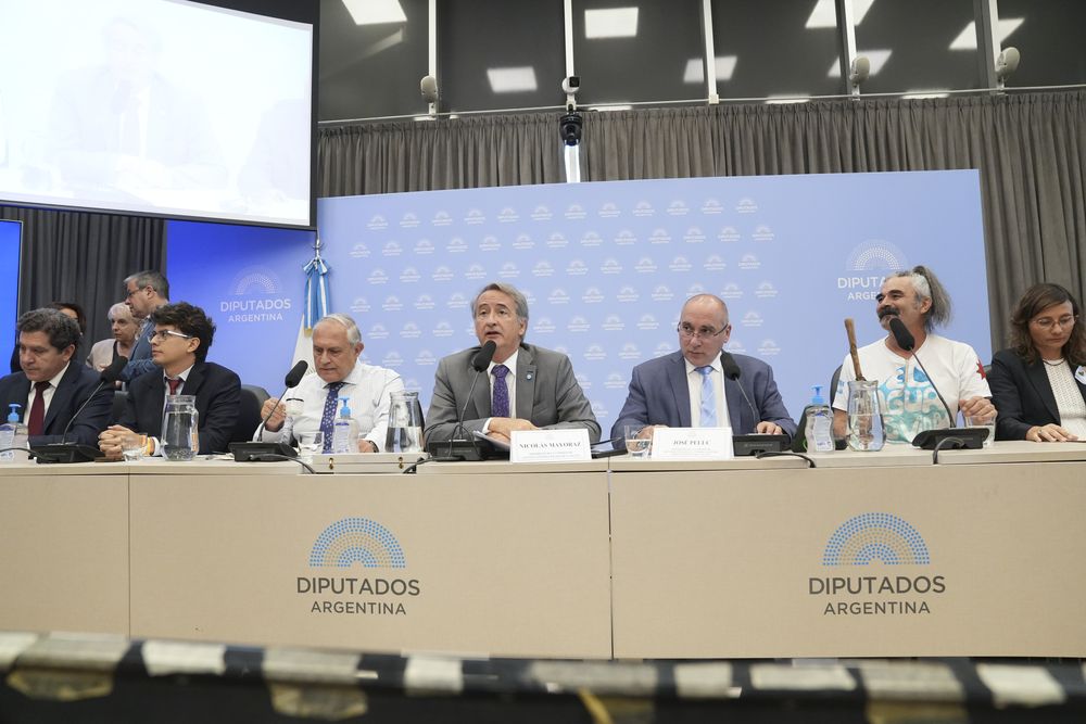Comenzó el debate por la Ley de Glaciares con 100.000 inscriptos y fuertes cruces.&nbsp;