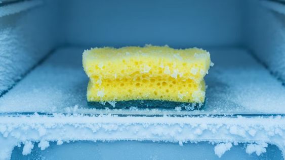 por que recomiendan guardar las esponjas de cocina en el freezer y para que sirve