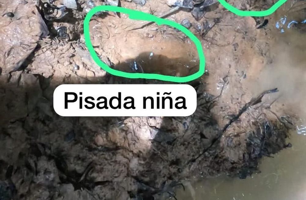 GUA200. GUAVIARE (COLOMBIA), 30/05/2023.- Fotografía cedida por las Fuerzas Militares de Colombia y modificada en la que se ven dos huellas, una perteneciente a la niña desaparecida y otra de un militar, en la selva del Guaviare (Colombia). Una huella, supuestamente de uno de los cuatro niños desaparecidos tras el accidente de un avión en la Amazonía colombiana, el pasado 1 de mayo, fue vista por los militares e indígenas que participan en su búsqueda, informaron este martes fuentes castrenses. EFE/ Fuerzas Militares SOLO USO EDITORIAL/NO VENTAS/SOLO DISPONIBLE PARA ILUSTRAR LA NOTICIA QUE ACOMPAÑA/CRÉDITO OBLIGATORIO/MÁXIMA CALIDAD DISPONIBLE