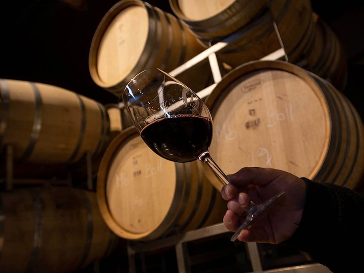 Cada vez es más frecuente encontrar vinos biodinámicos. - Ignacio Blanco / Los andes