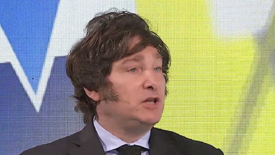 Javier Milei se pronunció a favor de la libre portación de armas (Captura TN)