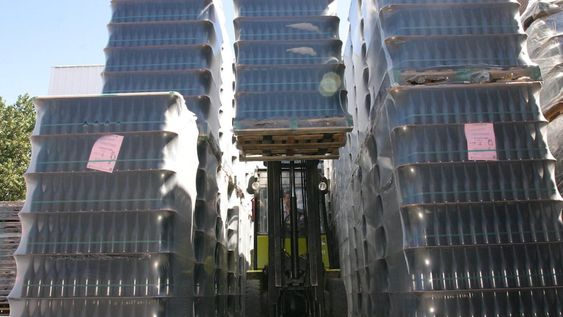La exportación total fue de 395 millones de litros de vinos, representando  el volumen más alto de los últimos 10 años. Foto: Pablo Lopez / Los Andes.