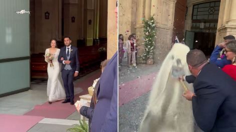 El video se volvió viral en TikTok y explotó la caja de comentarios.