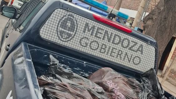 Decomisan 420 kilos de carne en mal estado en Las Heras en operativo contra el abigeato