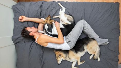 Algunas personas comparten su lugar de descanso con las mascotas como punto de apoyo.