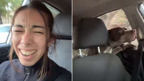 Fue a buscar el auto al mecánico pero se dio cuenta que se estaba llevando al perro.