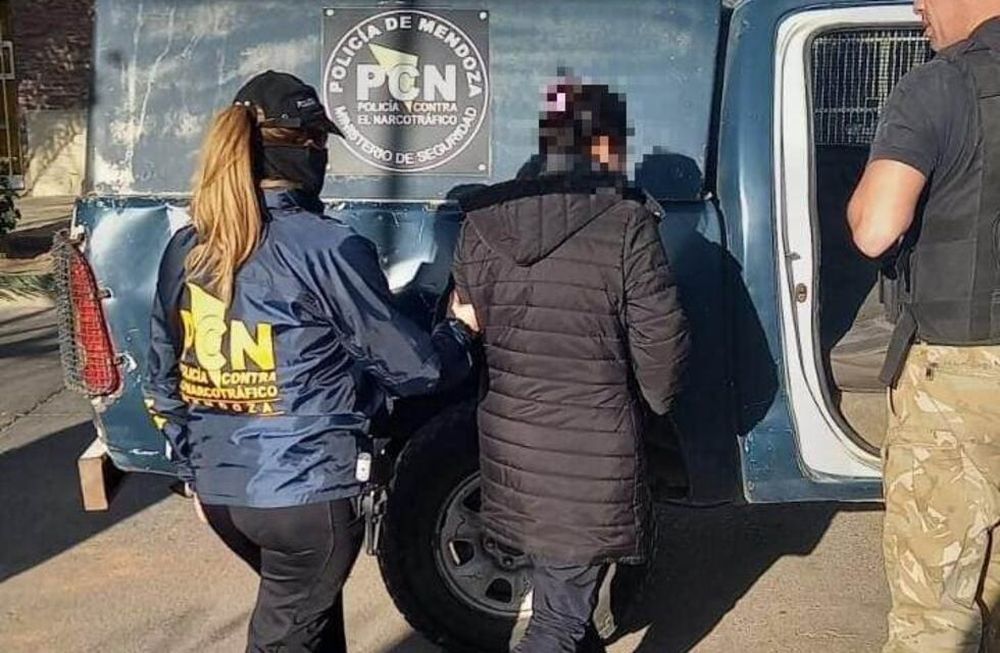 Tenía permiso para cultivar cannabis medicinal y se convirtió en proveedora de kioscos de venta de droga